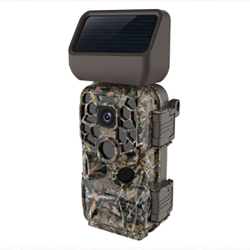 Ən yeni 4K 1080p 24 millət vəkili foto wifi simsiz ov kamerası